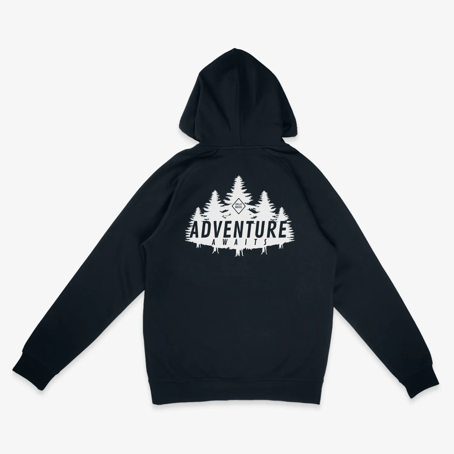 Adventure Awaits Hoodie
