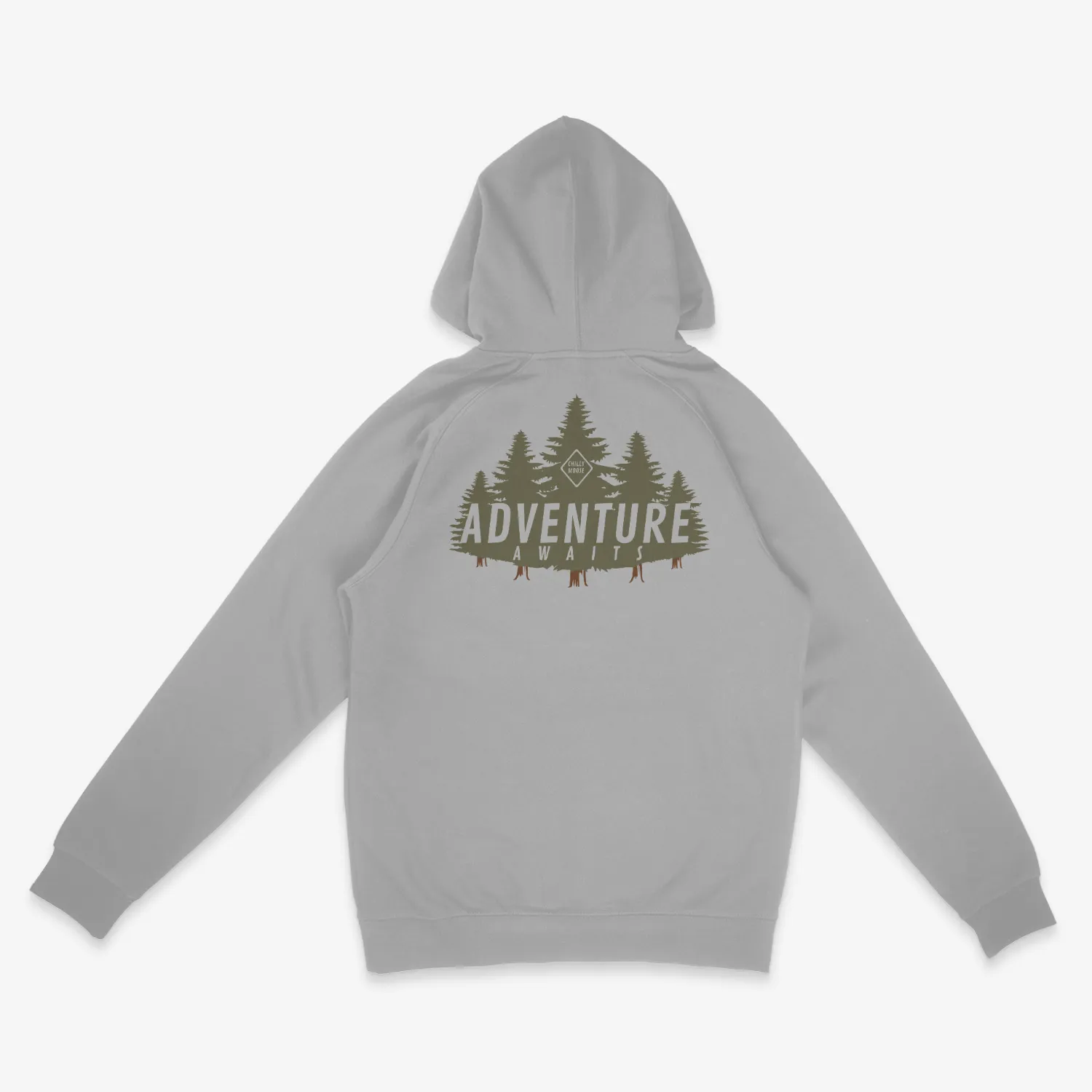 Adventure Awaits Hoodie