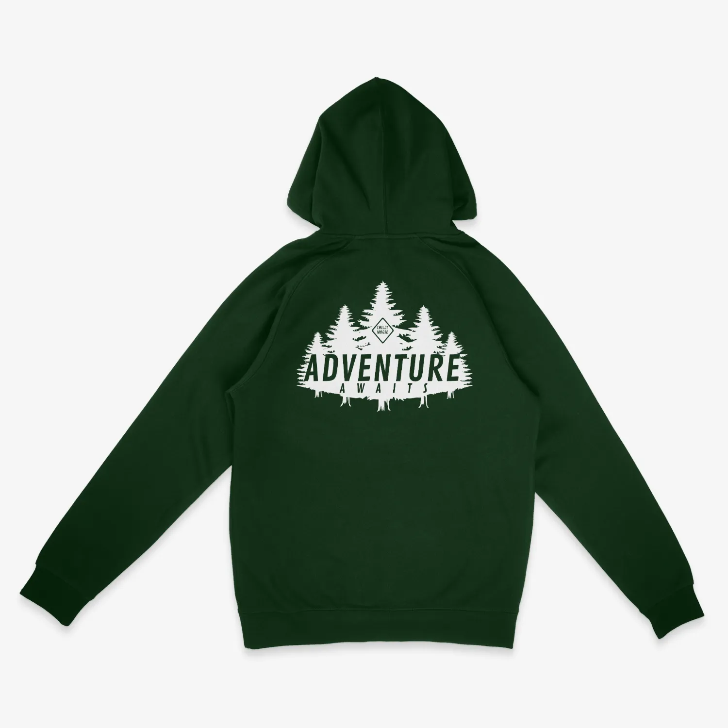Adventure Awaits Hoodie