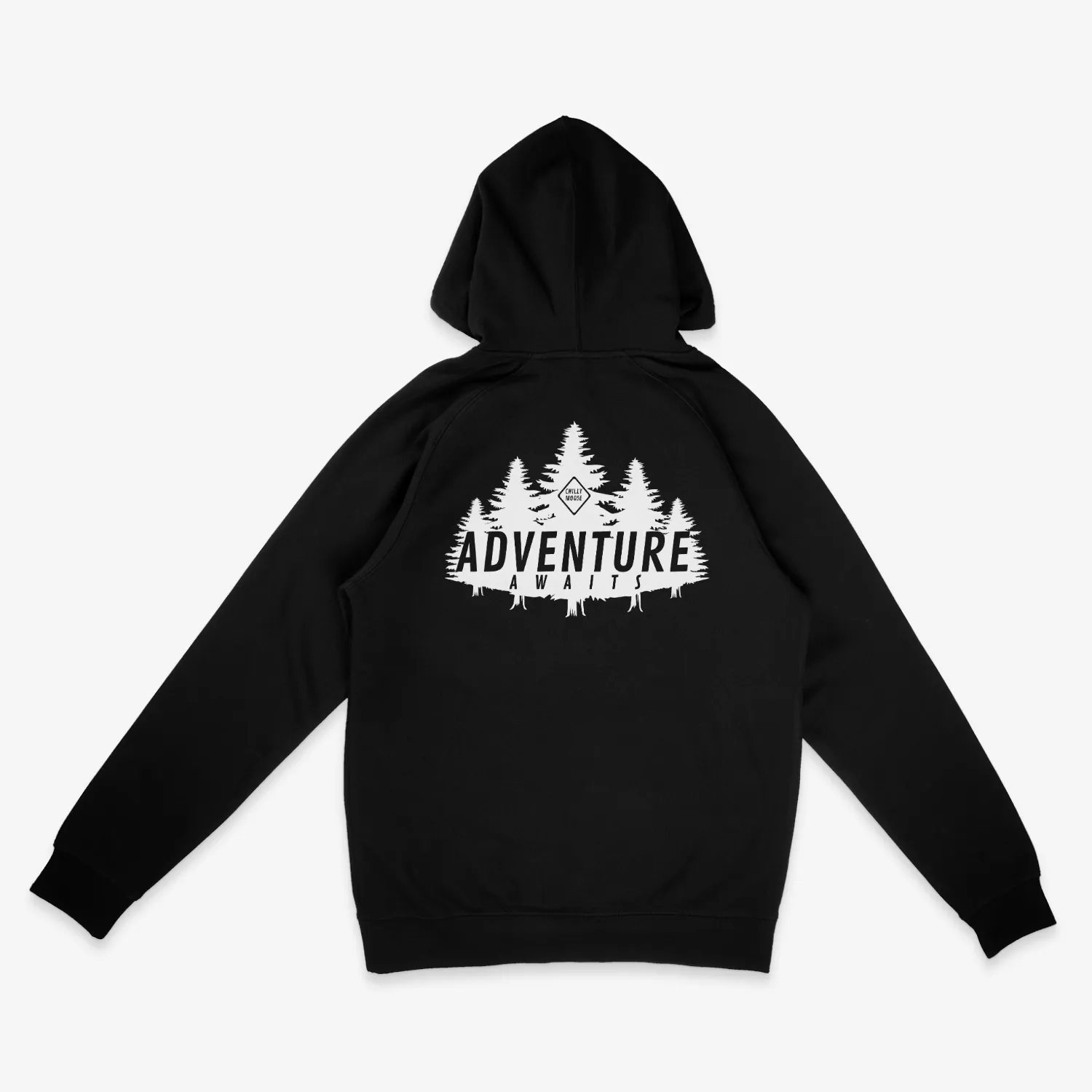 Adventure Awaits Hoodie