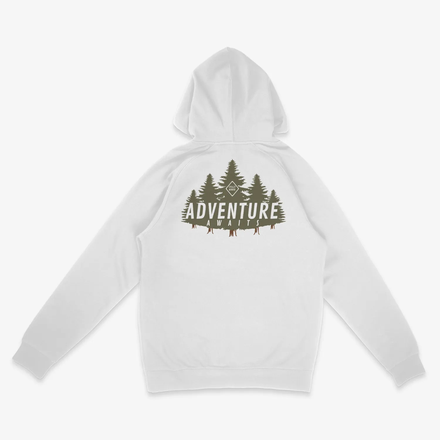 Adventure Awaits Hoodie