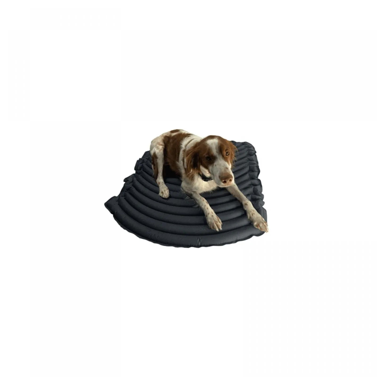 K9 Sport Sack Inflatable Portable Dog Bed Black L / XL