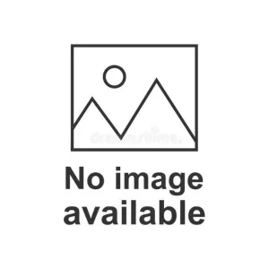 Smartwool Women's Merino Sport 120 V-Neck Short Sleeve Tee